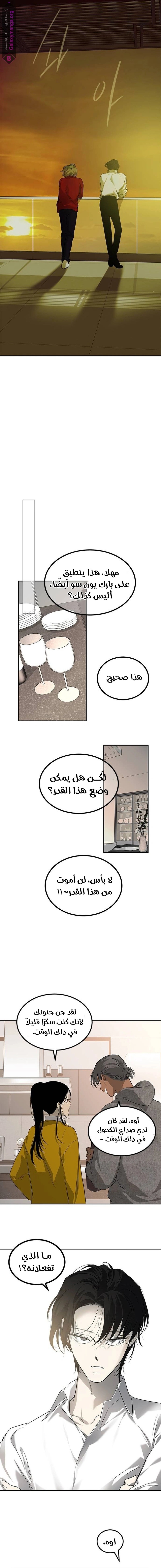الصفحة 17