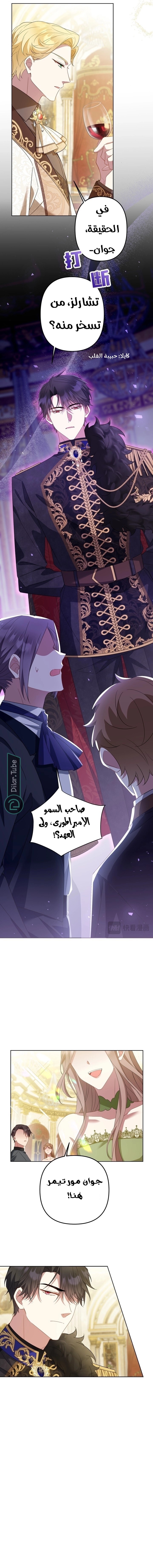 الصفحة 3