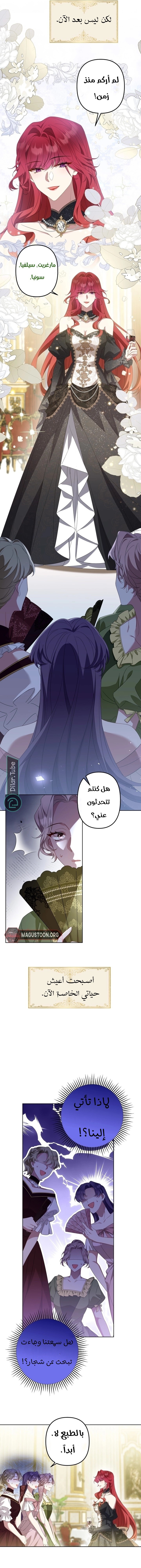 الصفحة 7