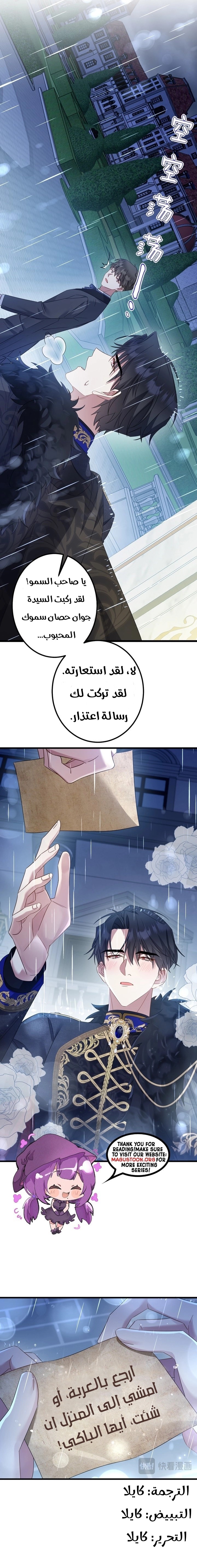 الصفحة 11