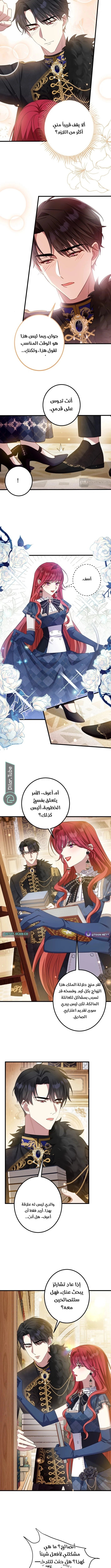 الصفحة 7
