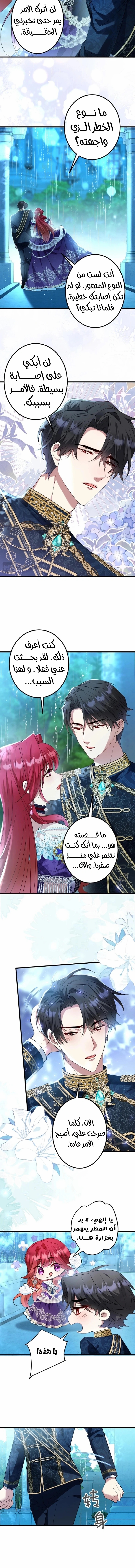 الصفحة 2