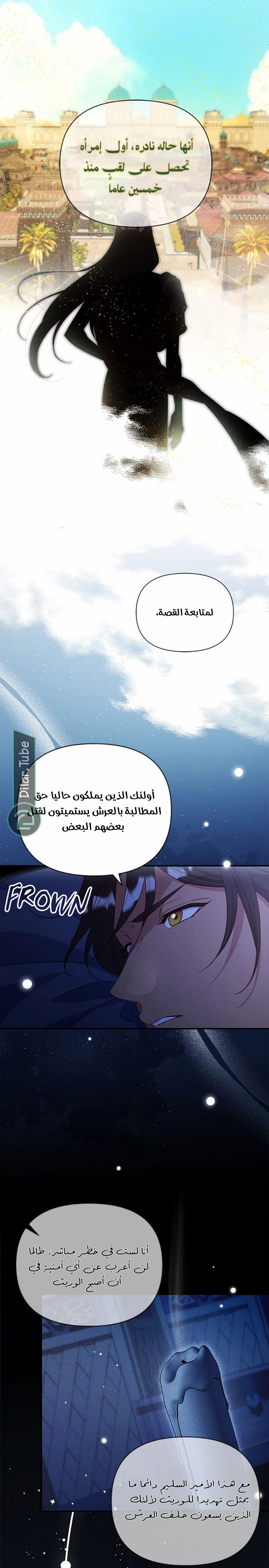 الصفحة 12