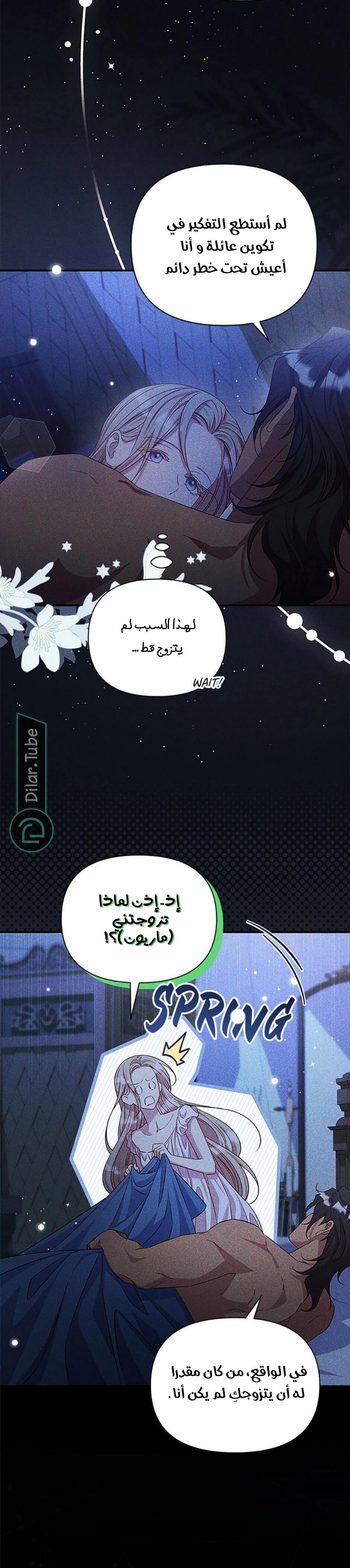 الصفحة 13