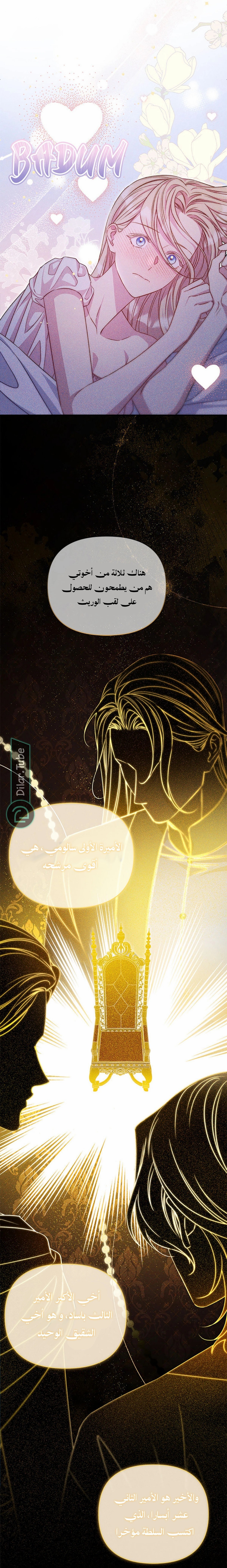 الصفحة 17