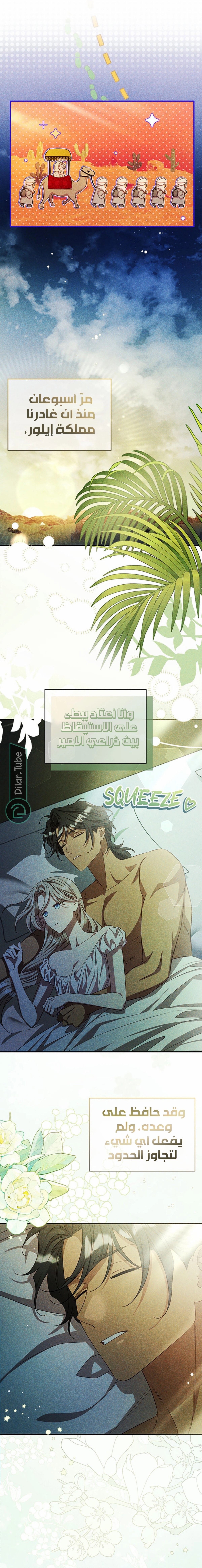 الصفحة 13