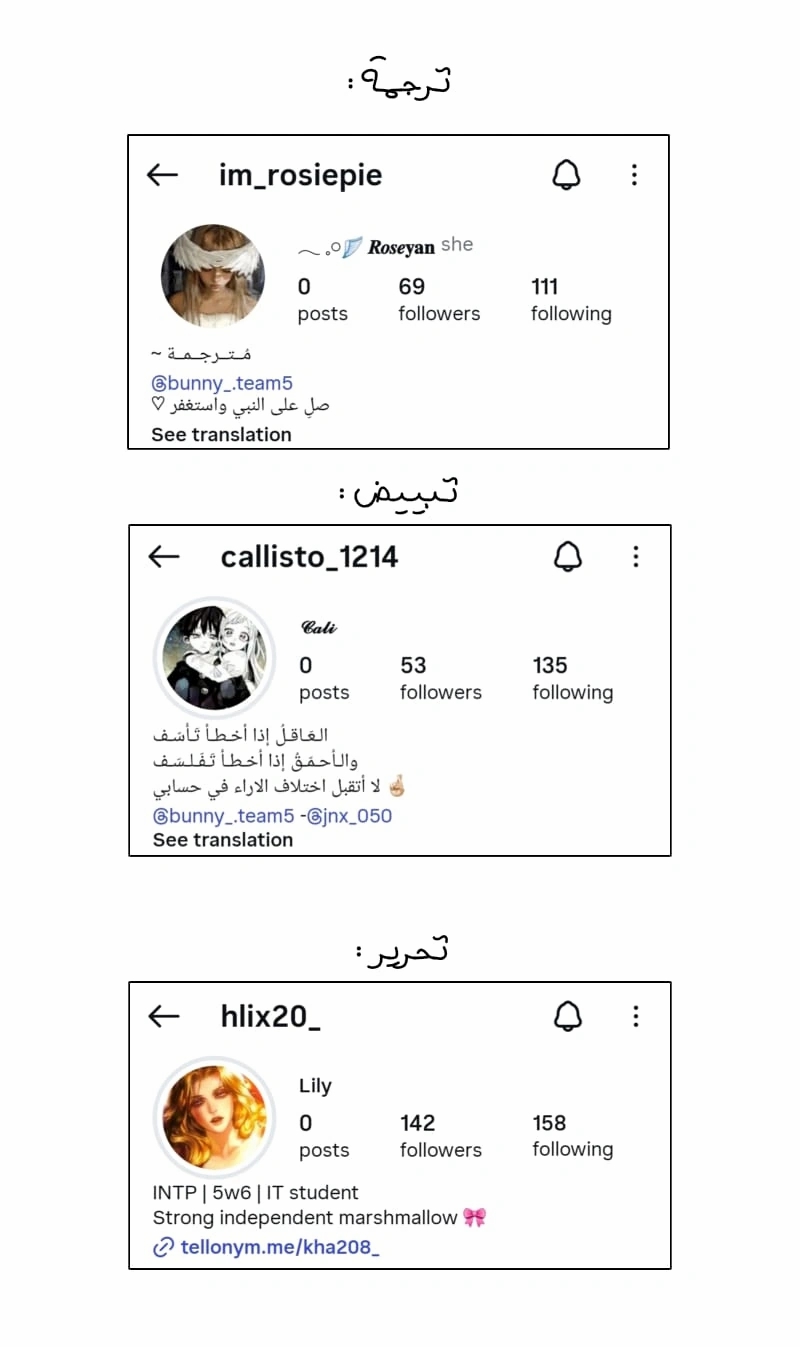 الصفحة 20