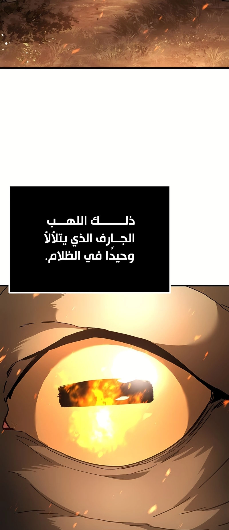الصفحة 97