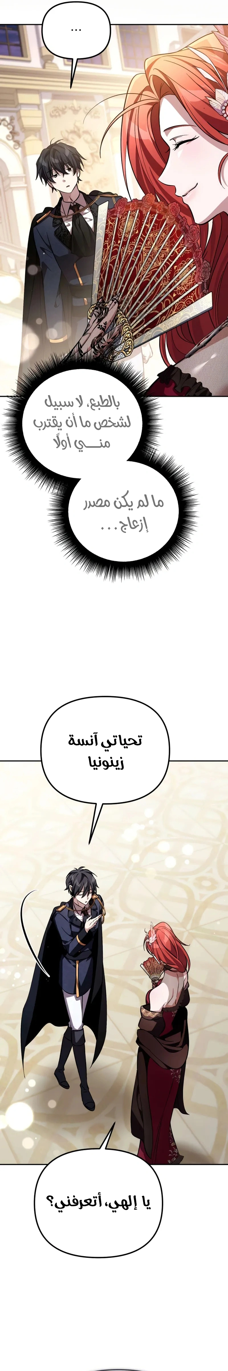 الصفحة 13
