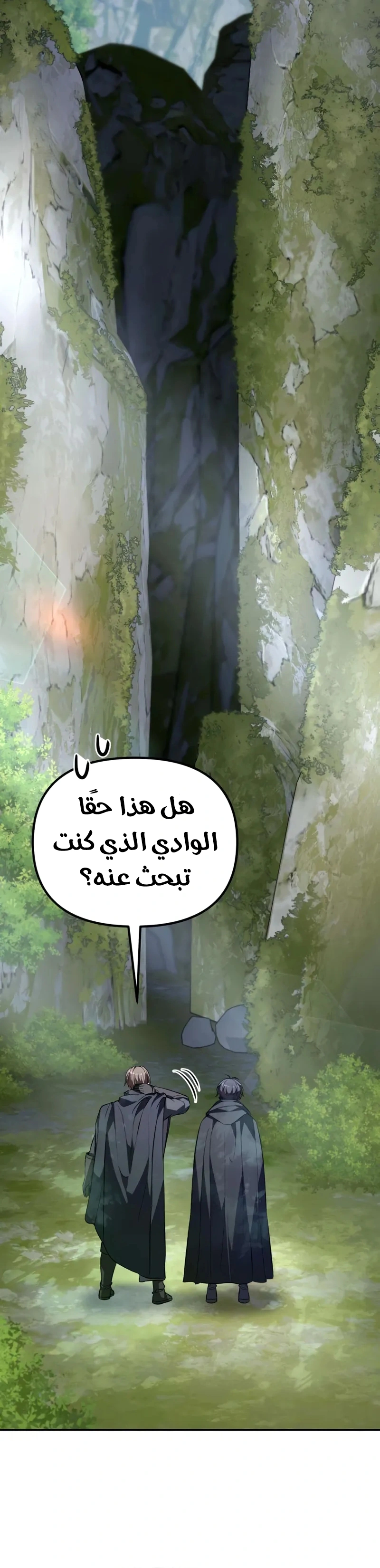 الصفحة 24