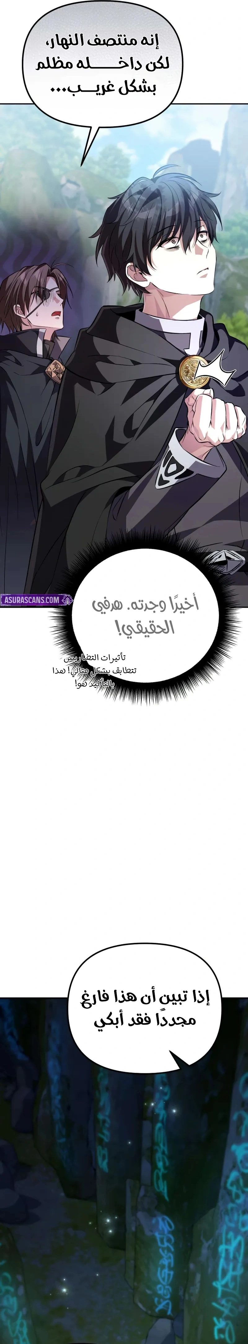 الصفحة 25