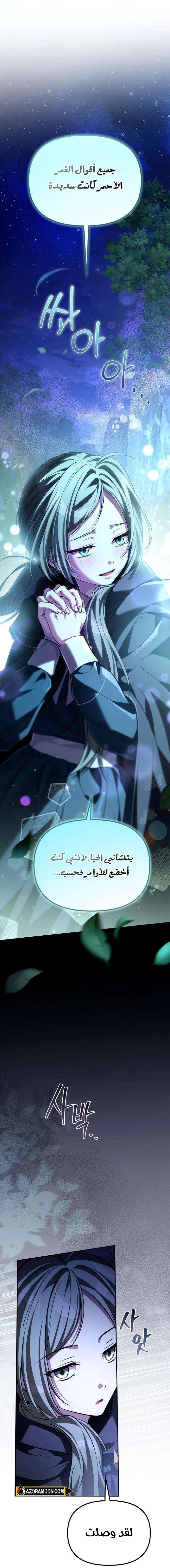 الصفحة 29