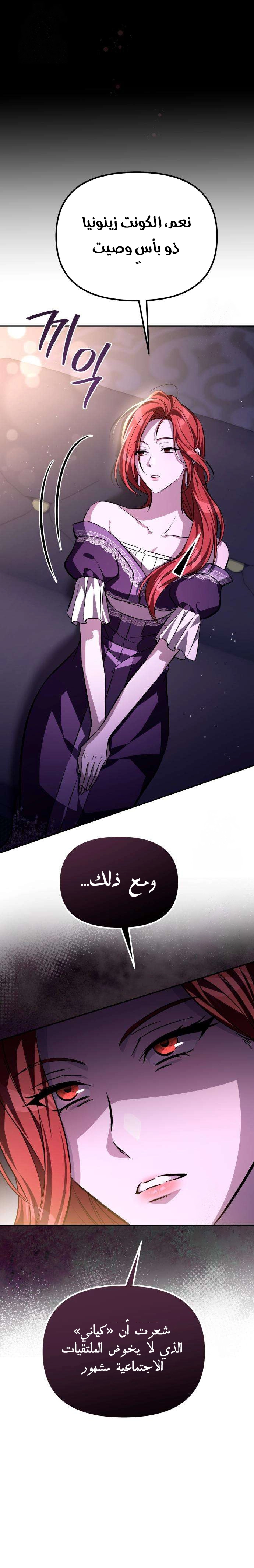 الصفحة 34