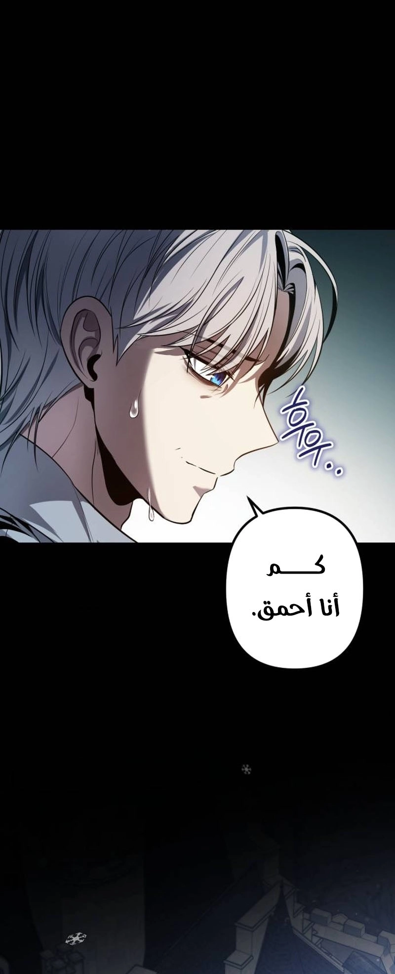 الصفحة 20