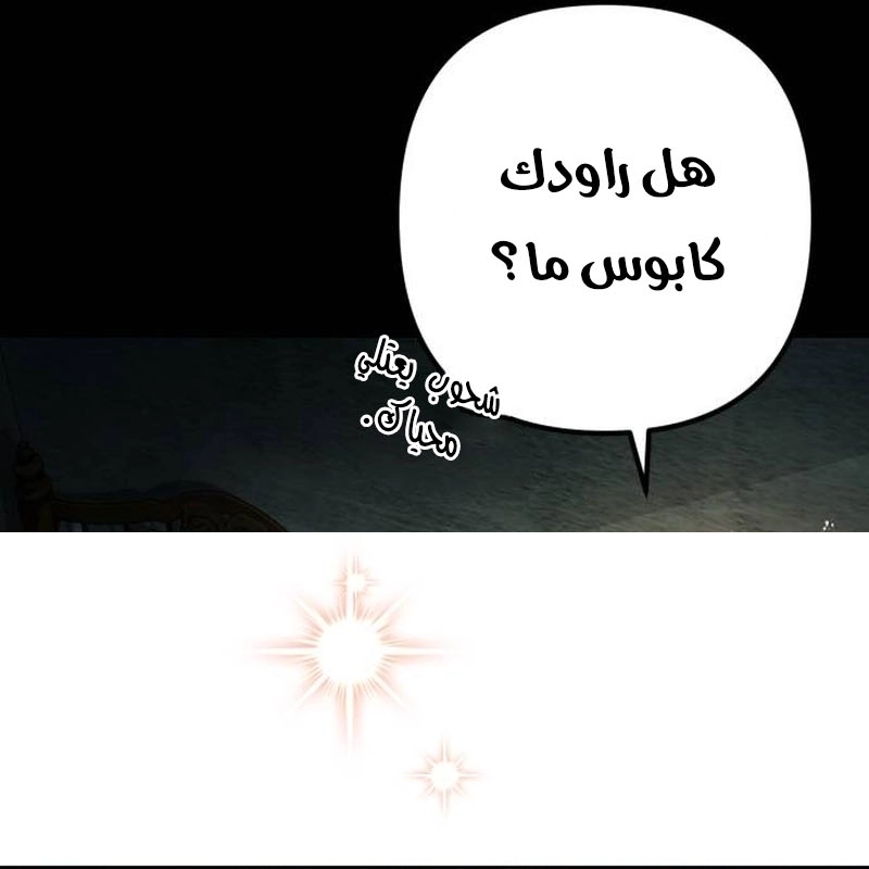 الصفحة 28