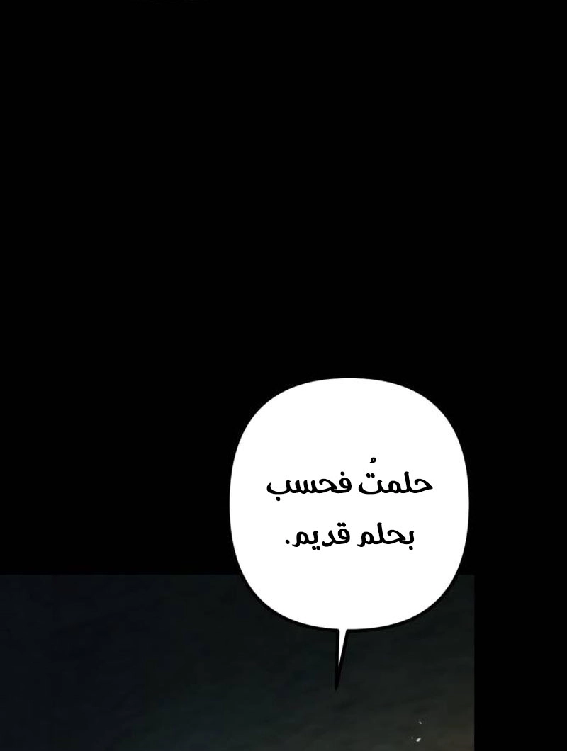 الصفحة 30