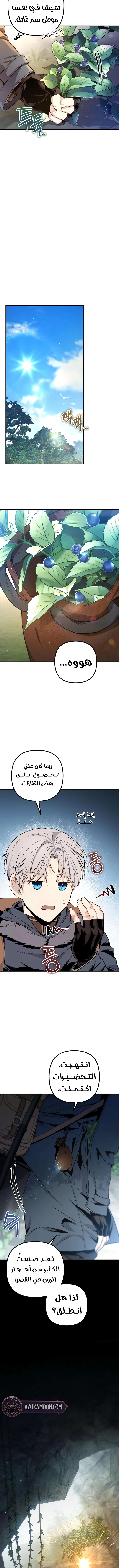 الصفحة 15