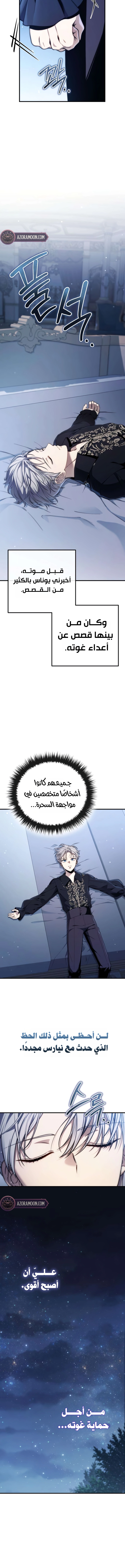 الصفحة 17