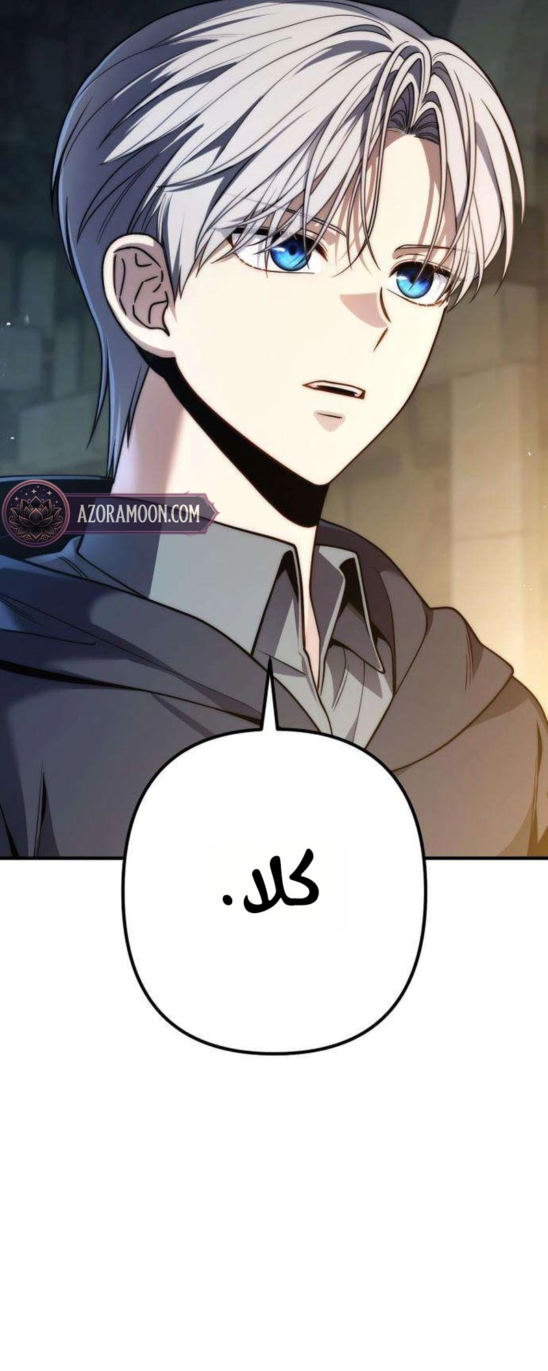 الصفحة 27