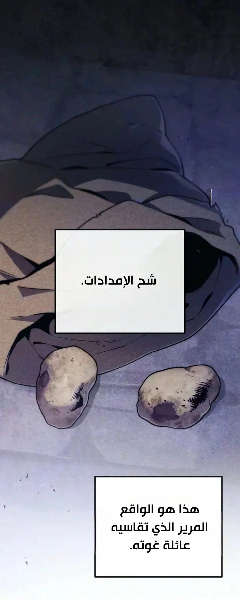 الصفحة 21