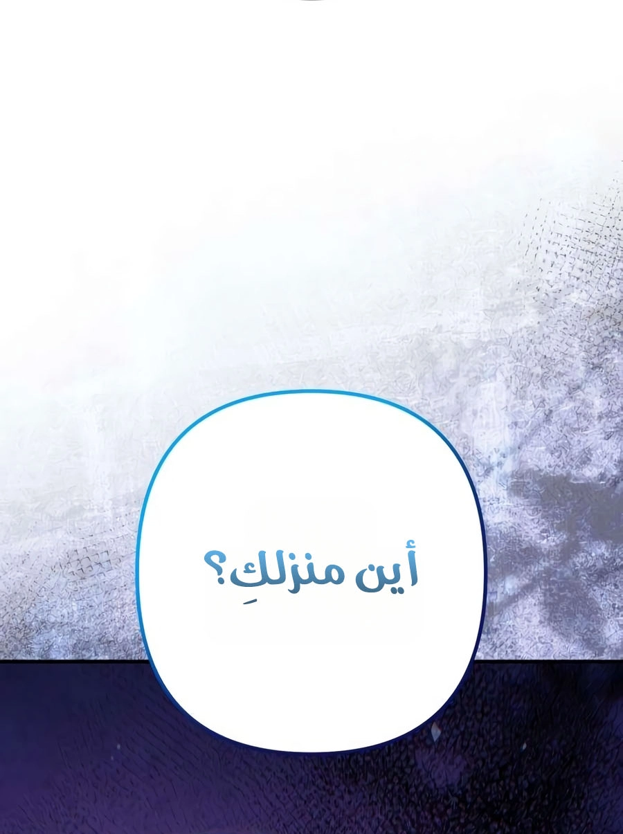 الصفحة 20