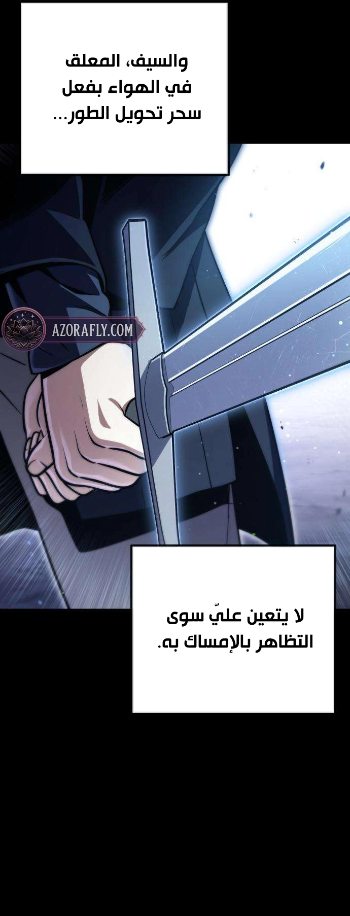 الصفحة 29