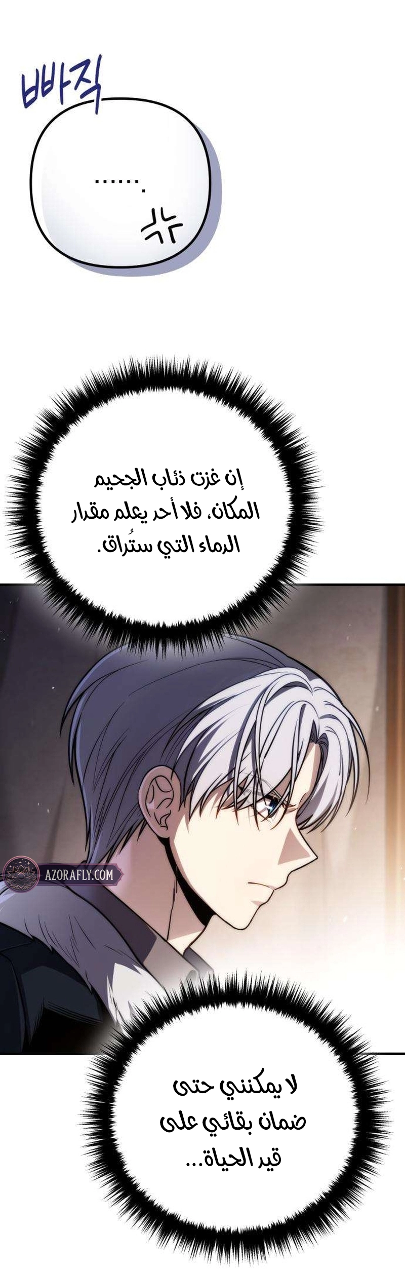 الصفحة 27