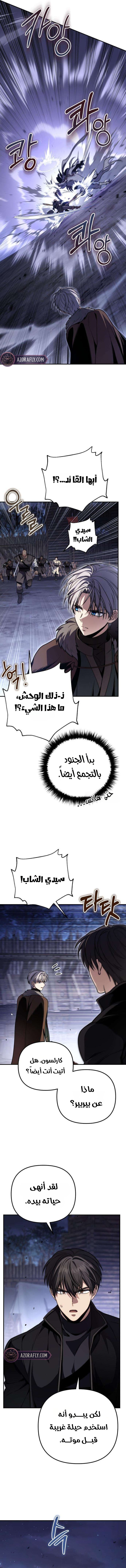 الصفحة 17