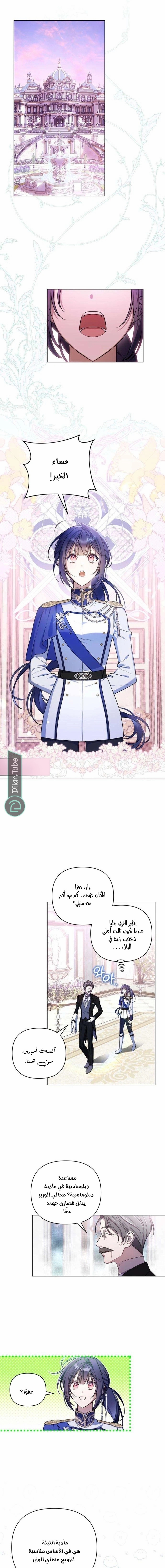 الصفحة 11