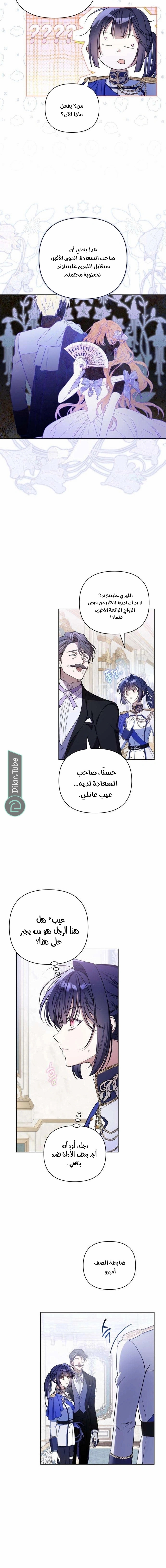 الصفحة 12