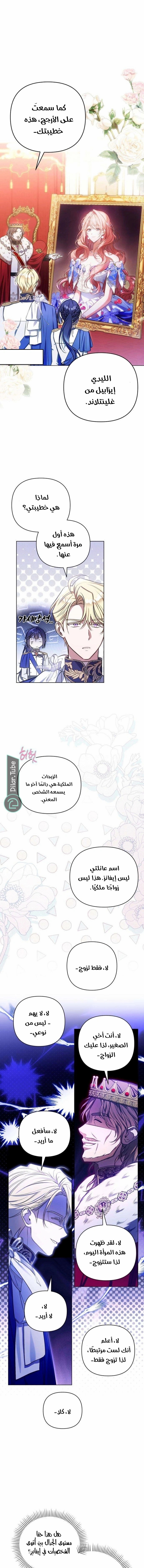 الصفحة 17