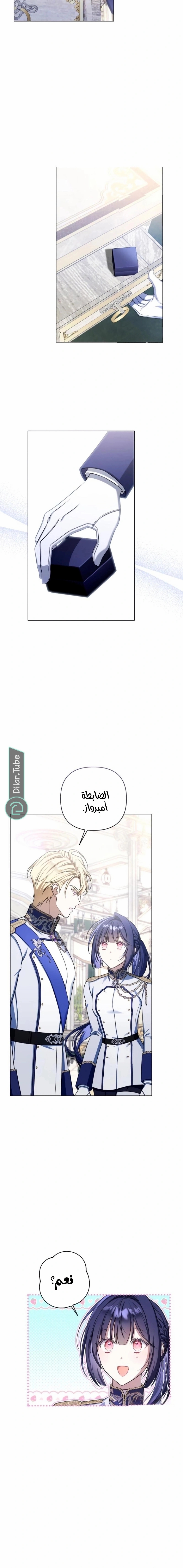 الصفحة 17