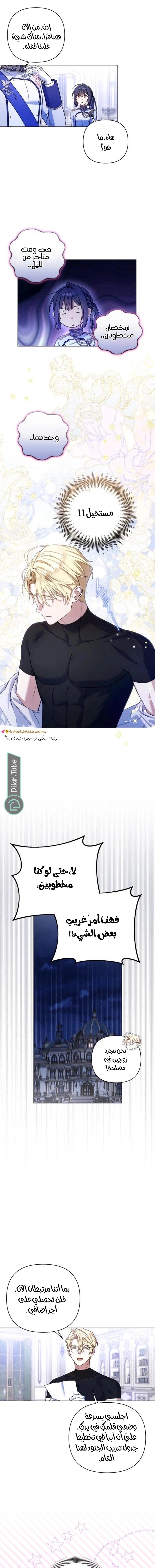 الصفحة 13