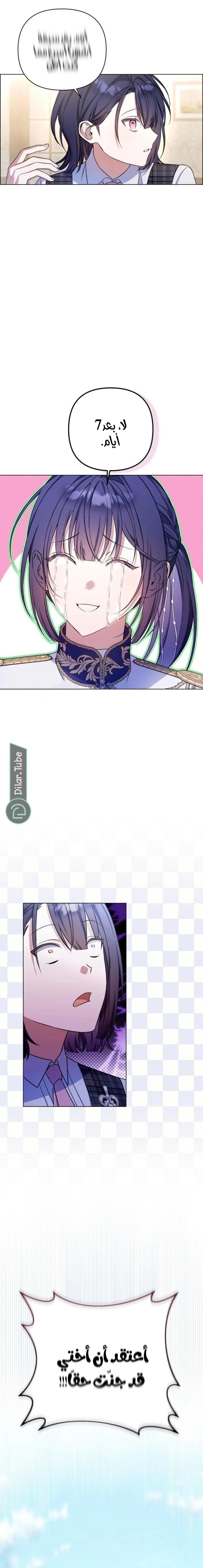 الصفحة 17
