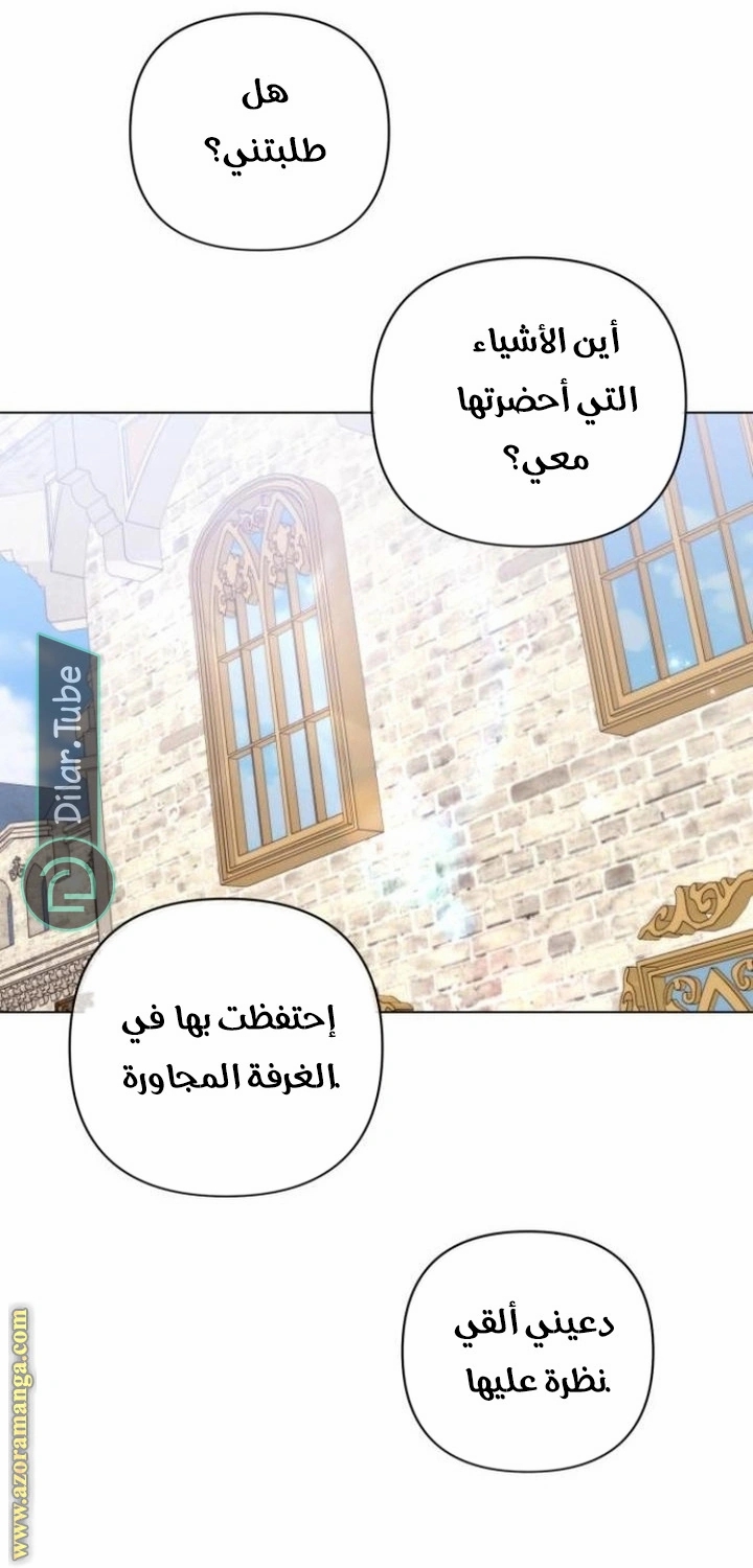 الصفحة 21