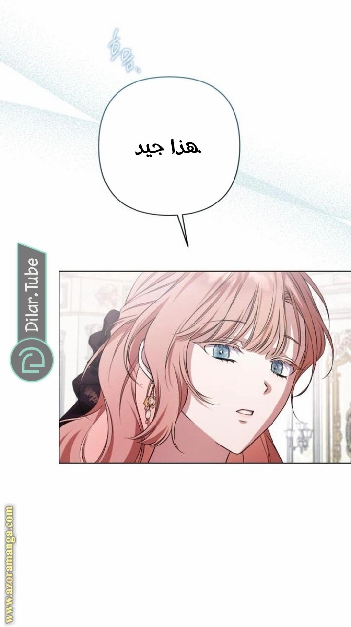 الصفحة 25
