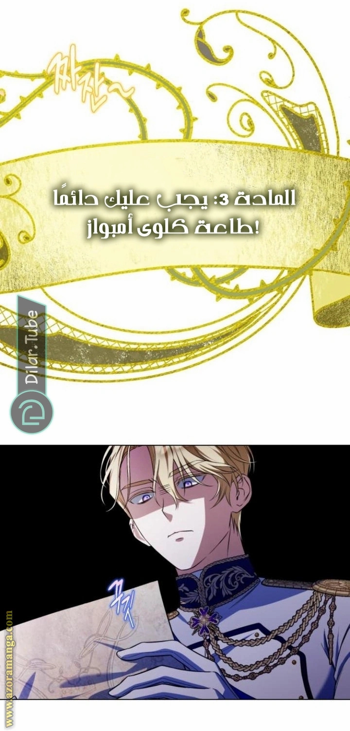 الصفحة 47