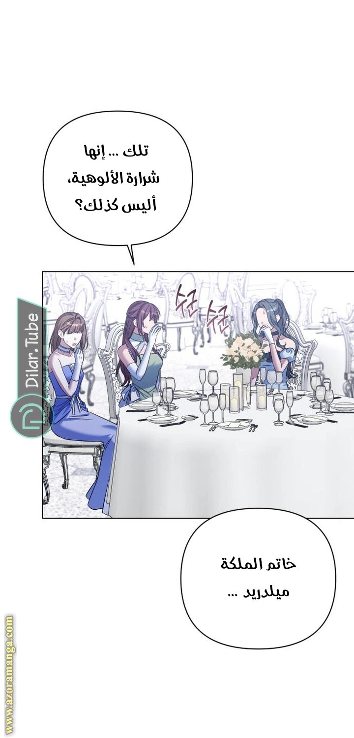 الصفحة 39