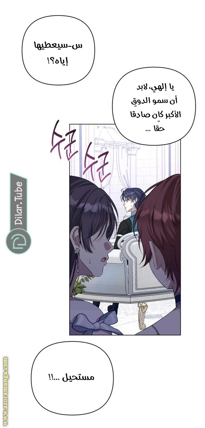 الصفحة 43