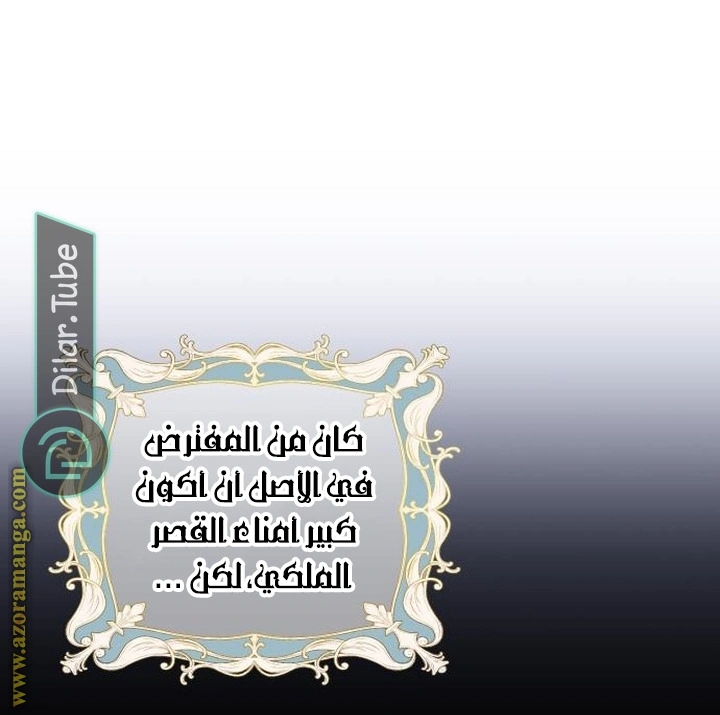 الصفحة 25