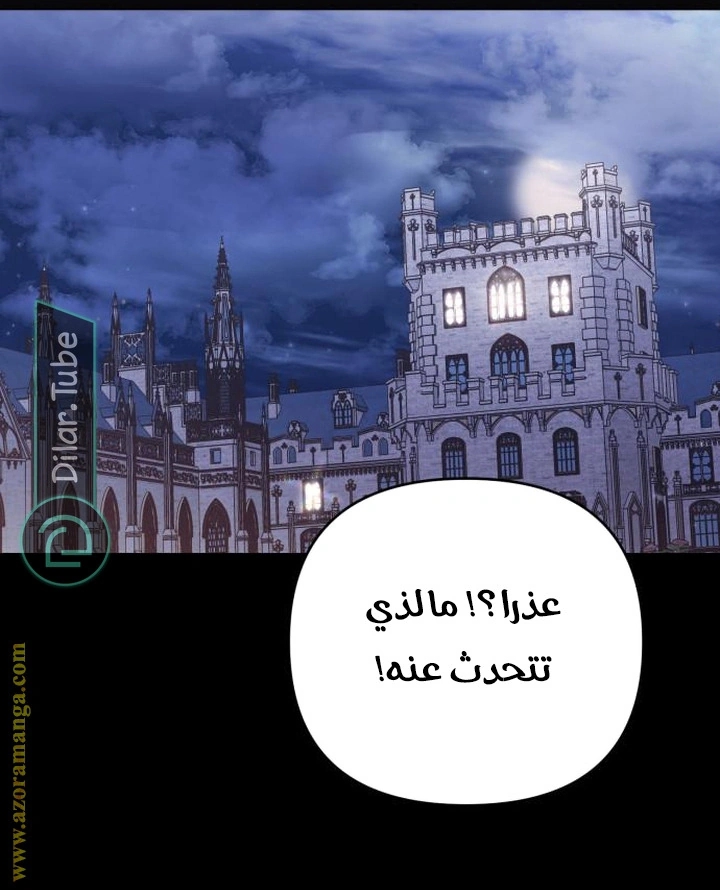 الصفحة 26
