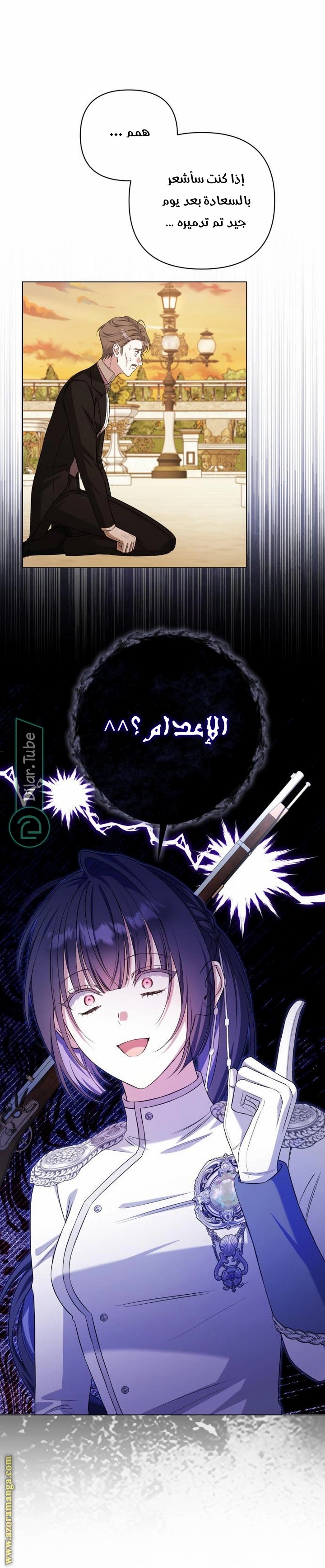 الصفحة 25