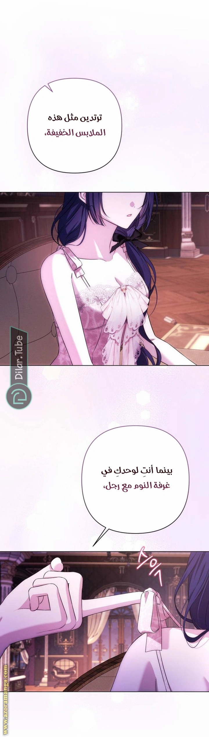 الصفحة 17