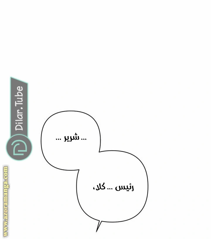 الصفحة 43