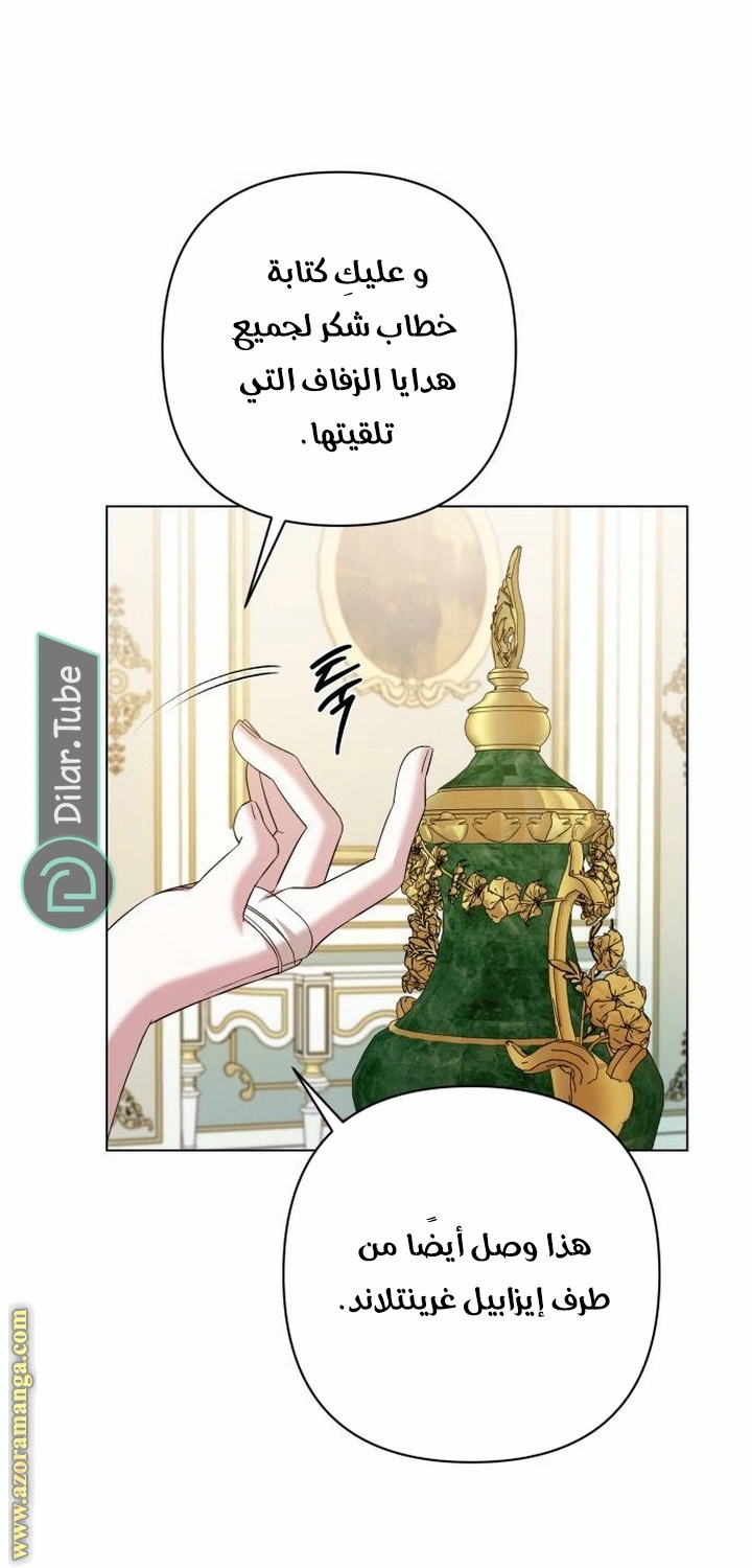 الصفحة 46