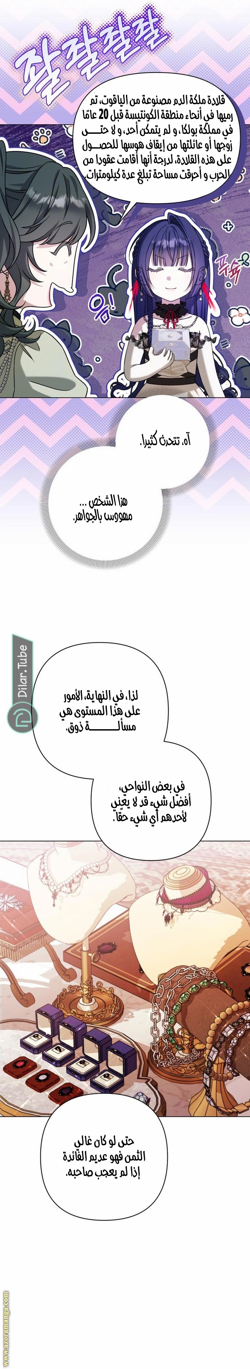 الصفحة 13