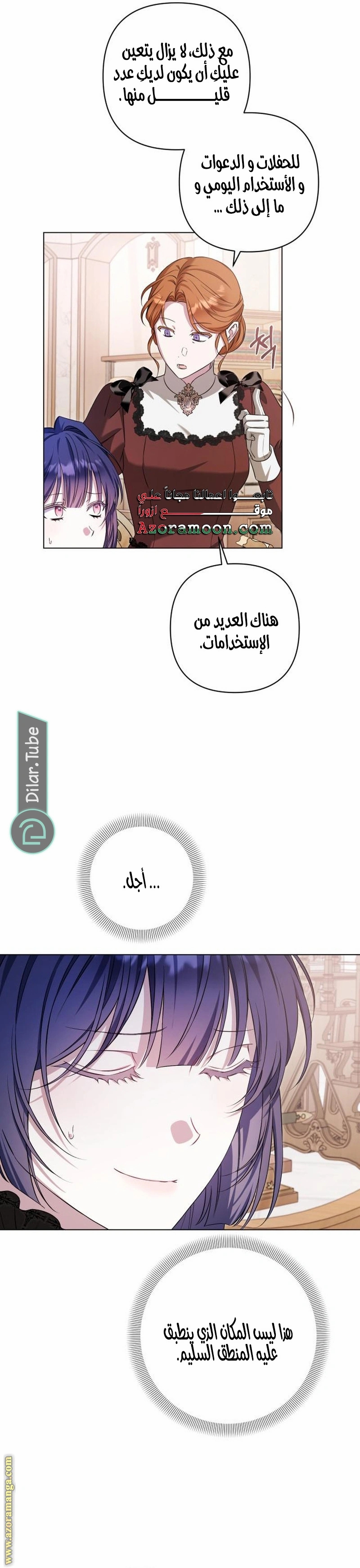 الصفحة 17