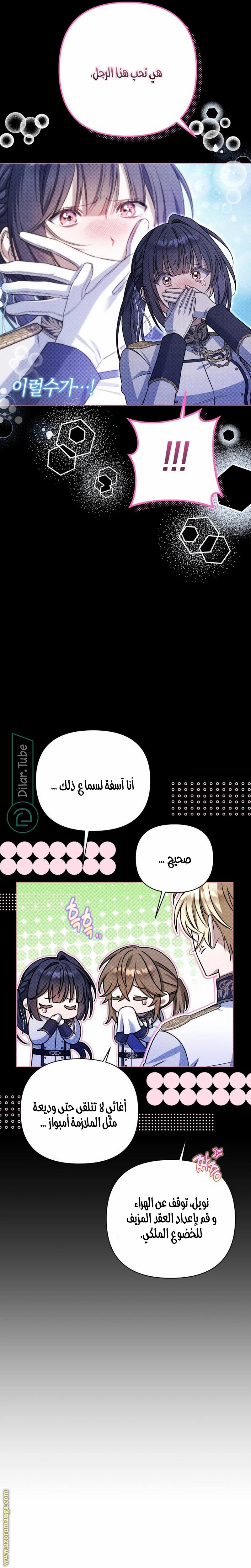 الصفحة 31