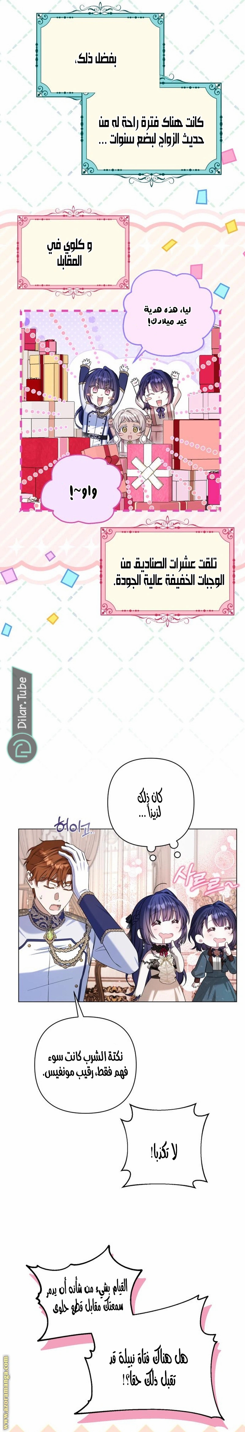 الصفحة 17