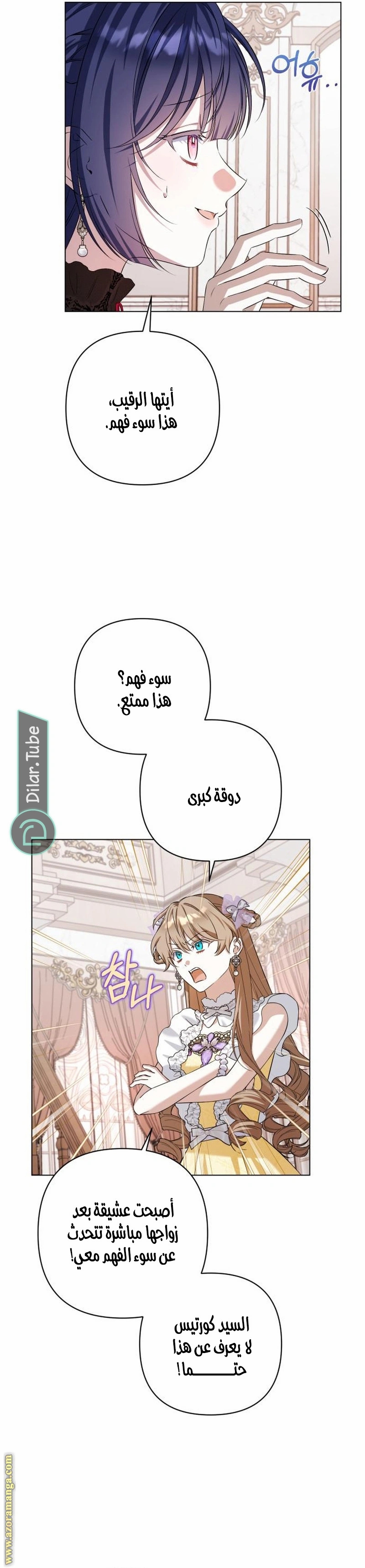 الصفحة 19